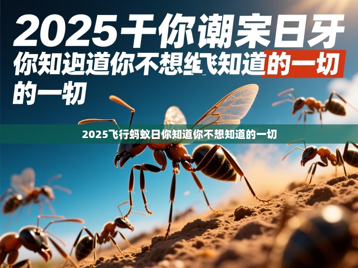 2025飞行蚂蚁日你知道你不想知道的一切
